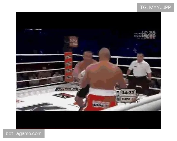 比赛暂停规则：裁判何时中止比赛及重开条件